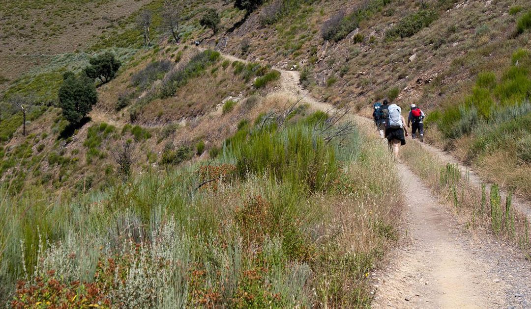 Camino Walking Blind