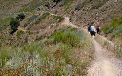 Camino Walking Blind