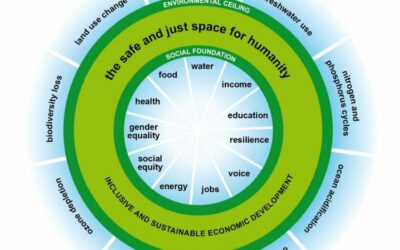 Doughnut Economics