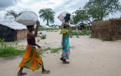 Supporting Cabo Delgado Refugees