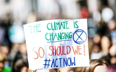 STEAM-Powered Sustainability: Teaching Climate Action through Liquid Skills